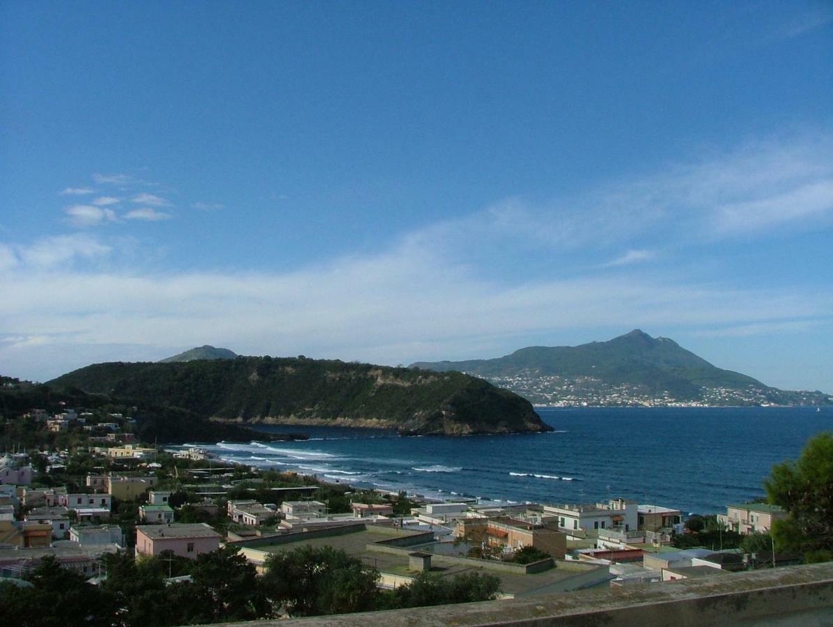 Casa Geltrude Al Porto Villa Procida Ngoại thất bức ảnh